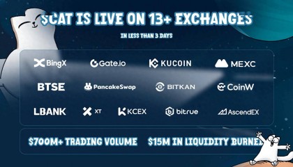 五天十倍，Cat能吹响BNB meme号角吗？