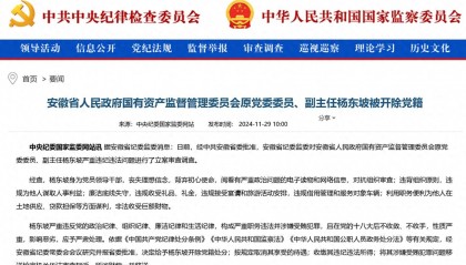 安徽省人民政府国有资产监督管理委员会原党委委员、副主任杨东坡被开除党籍