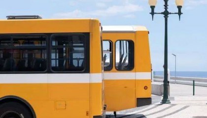 公交车，越变越小？