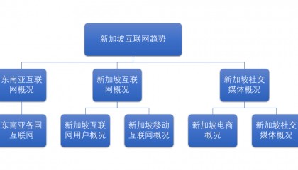 《新加坡互联网用户洞察》：社交媒体如何重新定义购买体验？