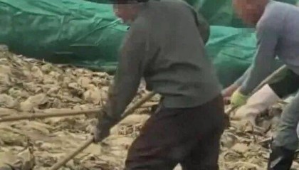 男子在酸菜池内抽烟吐痰，官方通报！