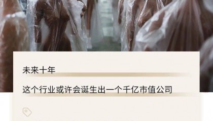 性机器人时代，来了