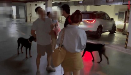 小区车库俩杜宾犬没拴绳引争吵：路人要打死，狗主人反呛咬你了吗