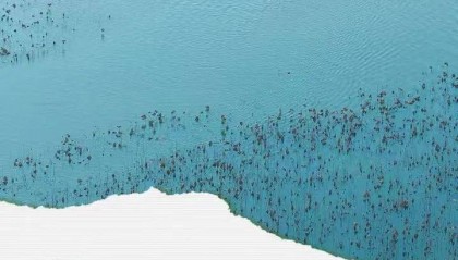 江苏省纪委监委：王力军被查！