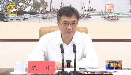 广西壮族自治区党委书记陈刚最新署名文章