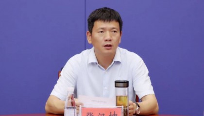 县长张汉坤官宣被查，公安局长落马后“消失”4个月