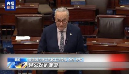 美方接受卡塔尔赠送客机，美民主党人：这是公然贿赂