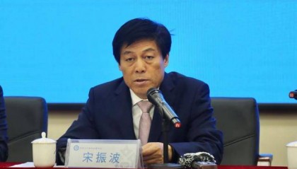 宋振波，主动投案