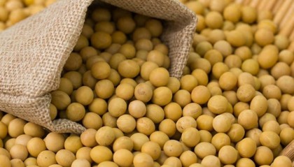 中方终于出手，40艘巨轮开往中国，美国担心的事还是来了