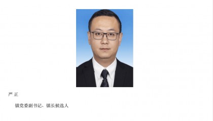 严正已任东莞市石碣镇党委副书记、镇长候选人