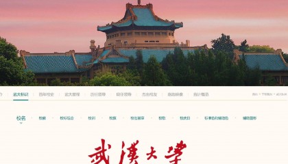 武汉大学校长张平文：正在处理“学生性骚扰指控被驳回”事件