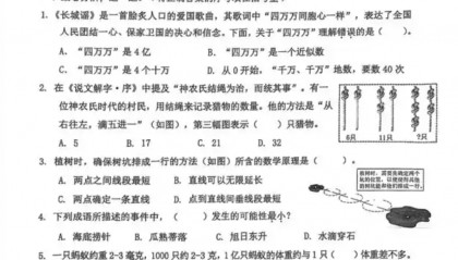 “语文出轨数学劈腿”，素质教育导向不能走偏了方向｜时评