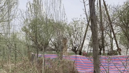 陕西蒲城失踪24年女子确定遇害，嫌疑人未被批捕，家属发声