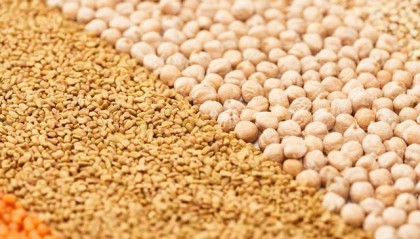 玉米随美元升值而升值，并对大豆产生影响