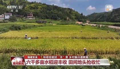 金秋时节好“丰”景 田间地头抢收忙
