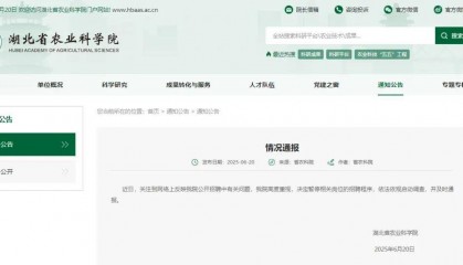“笔试倒数第二，面试成绩第一”应聘者已入围体检环节？官方回应“萝卜坑”招聘