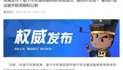 设立和使用“小金库”，遂宁市交通运输局原党组成员、副局长张扬被“双开”