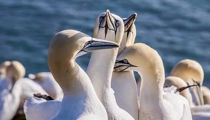 欧盟对华缺乏合作诚意未做让步，无缘中美稀土供应 “绿色通道”