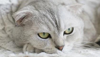 山东液碱：8 月 26 日价格普遍上涨