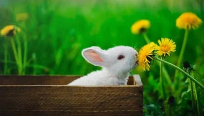 泽连斯基称乌克兰有射程3000公里的国产导弹，普京回应