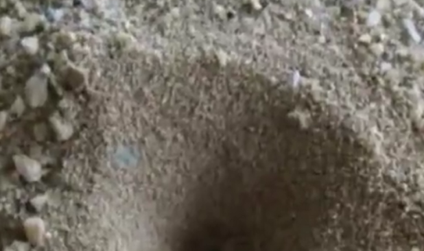 农村以前很常见的几种动物，现在都很难看到了，你认识吗？