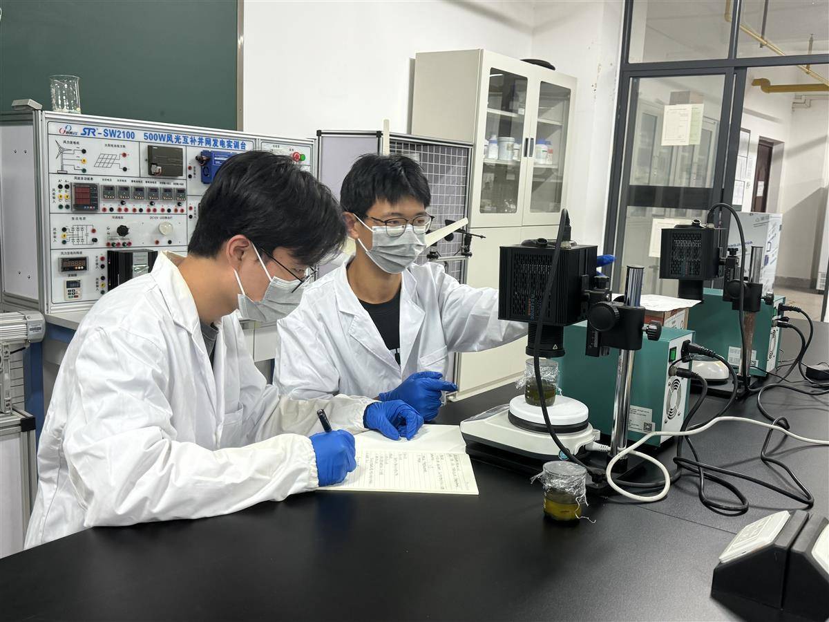 湖北大学青年学子助力废旧动力电池极片绿色回收
