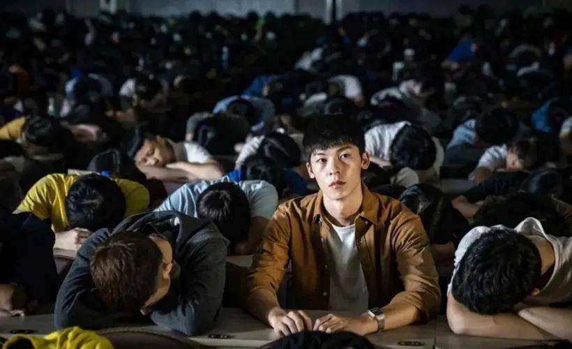 文科硕士的这条路，也难了