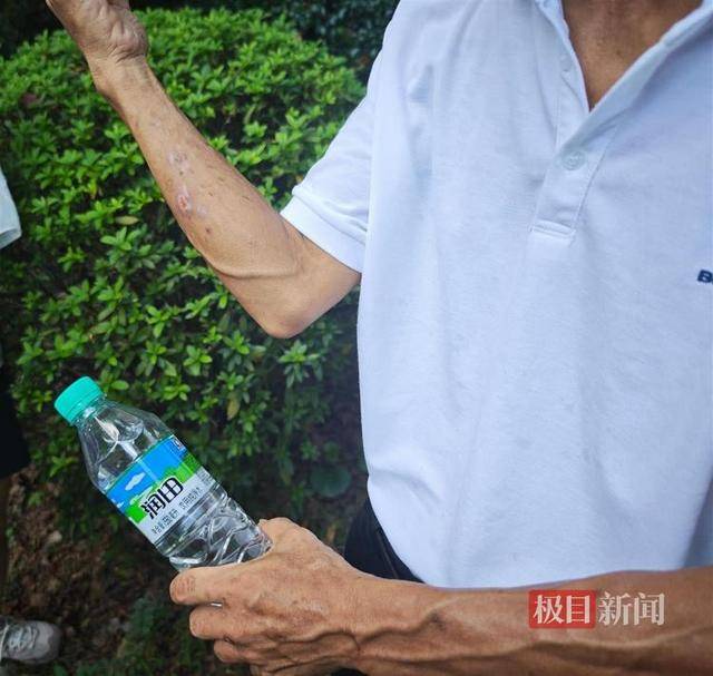 被流量砸中的“鸡排哥”:每天只休息四五个小时,二舅哥家的民宿已爆满