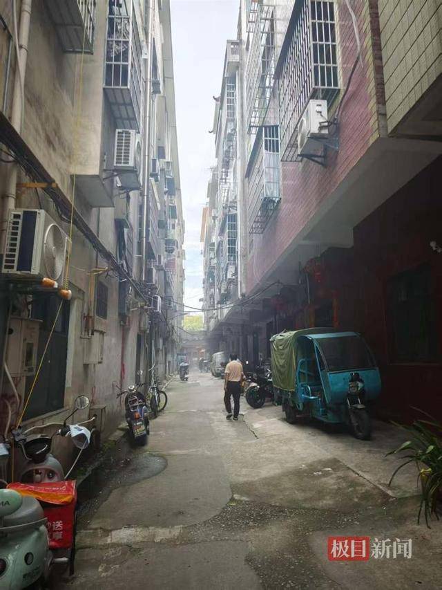 被流量砸中的“鸡排哥”:每天只休息四五个小时,二舅哥家的民宿已爆满