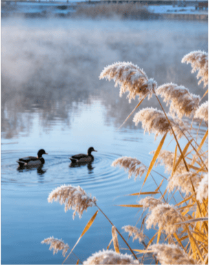 寒露遇雨！北京开启湿冷魔法攻击，防雨保暖安排上（2025-10-8）
