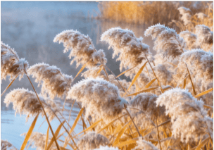 寒露遇雨！北京开启湿冷魔法攻击，防雨保暖安排上（2025-10-8）
