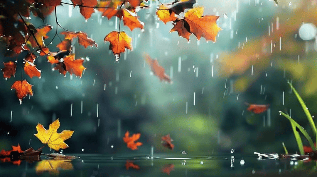 寒露遇雨！北京开启湿冷魔法攻击，防雨保暖安排上（2025-10-8）