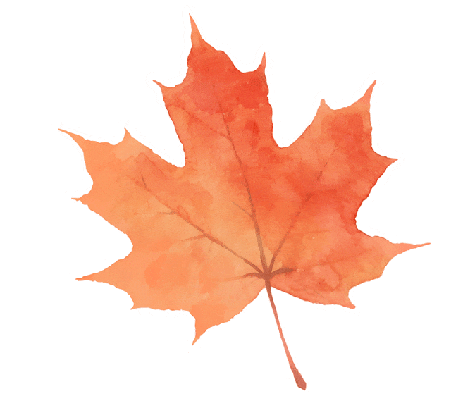 新疆喀什客人来沪旅游，顺便订了辆特斯拉