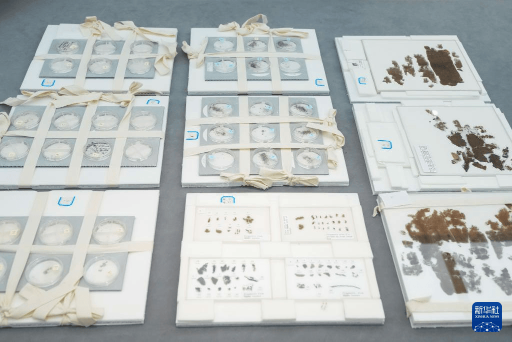 结束漂泊79年 子弹库战国帛书正式入藏湖南省博物馆