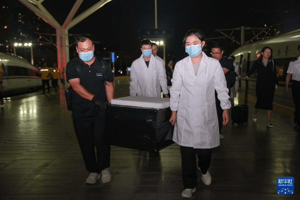 结束漂泊79年 子弹库战国帛书正式入藏湖南省博物馆