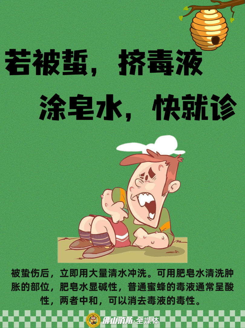 深圳一市民突遭马蜂围袭！已进入高发期，千万别招惹！