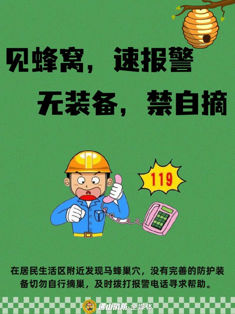 深圳一市民突遭马蜂围袭！已进入高发期，千万别招惹！