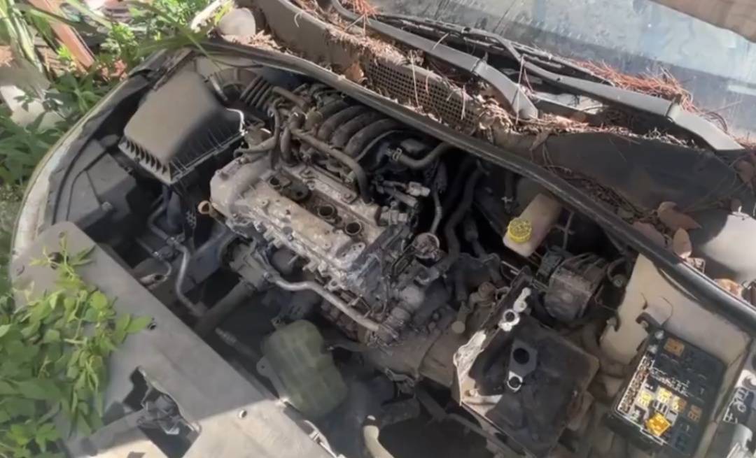 浙江男子把私家车停路边两年，一次也没去看过！如今要用车时傻眼：还能这样？