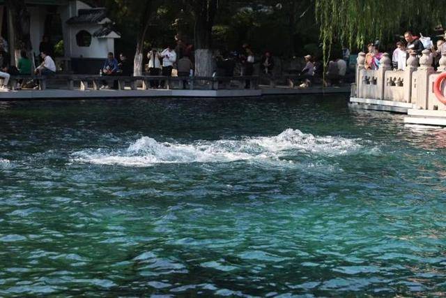 黑虎泉喷得“兽头”都不够用了！济南群泉竞涌，几十年一见