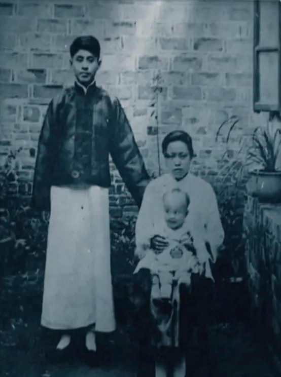 103岁杨振宁去世，象牙塔倒塌