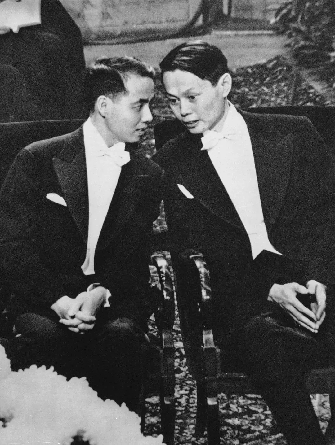 103岁杨振宁去世，象牙塔倒塌