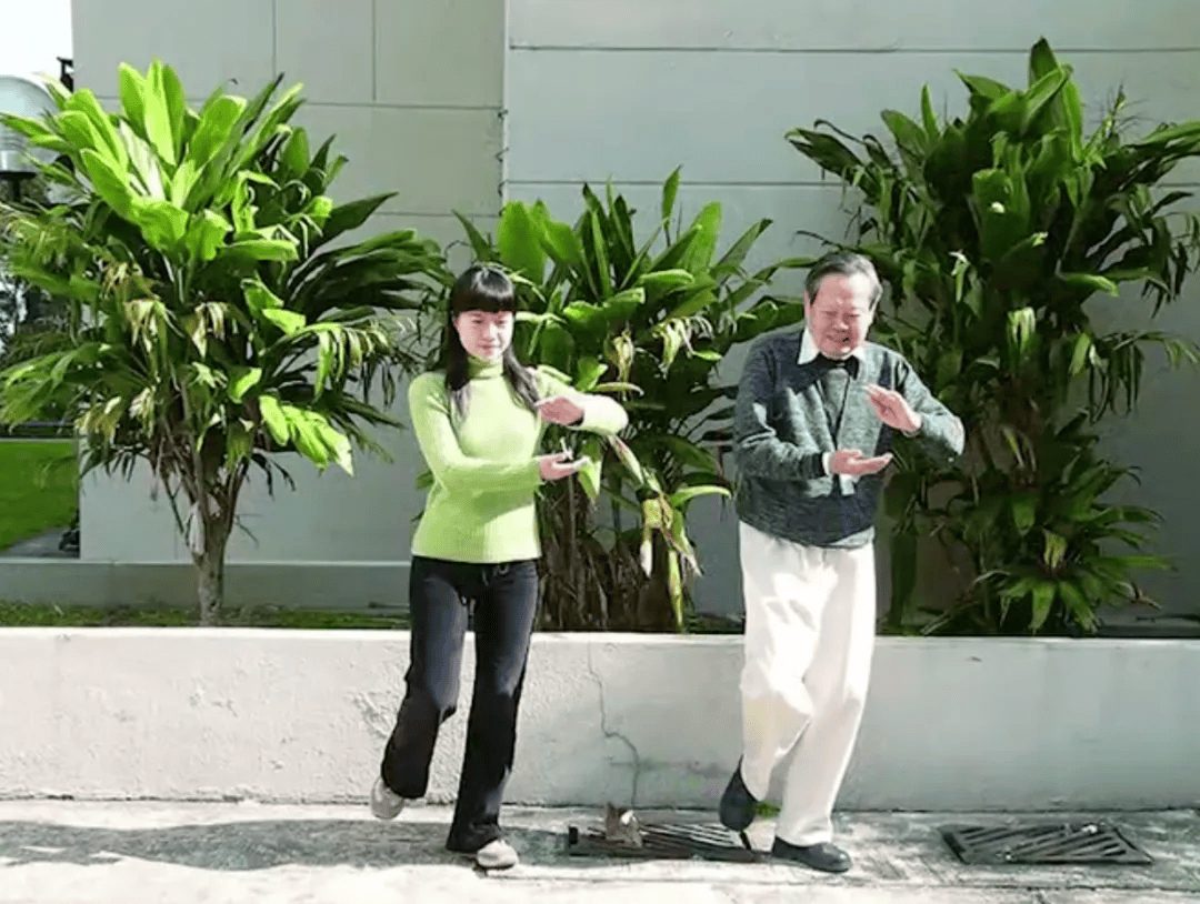 103岁杨振宁去世，象牙塔倒塌