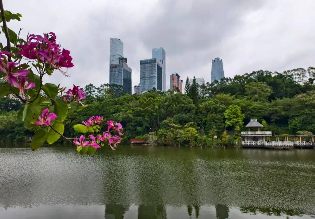 8.7℃冻哭！霜降广西现下半年最冷早晨，回暖时间→