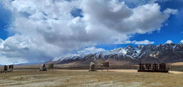 当着全球的面，塔利班放出狂言，不偏不倚，正好撞在中方“枪口上”