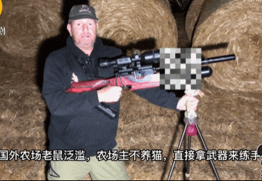 头部中弹！近日安徽18岁男孩深夜遭遇枪击，枪是从哪来的？