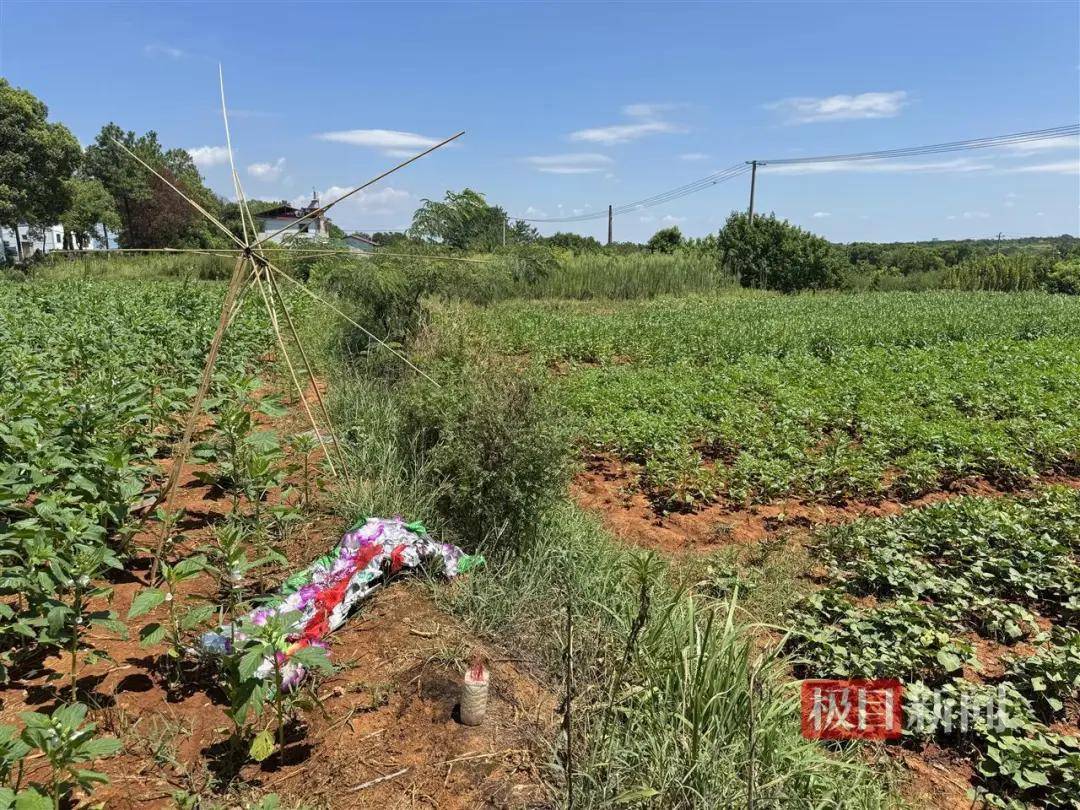 头部中弹！近日安徽18岁男孩深夜遭遇枪击，枪是从哪来的？