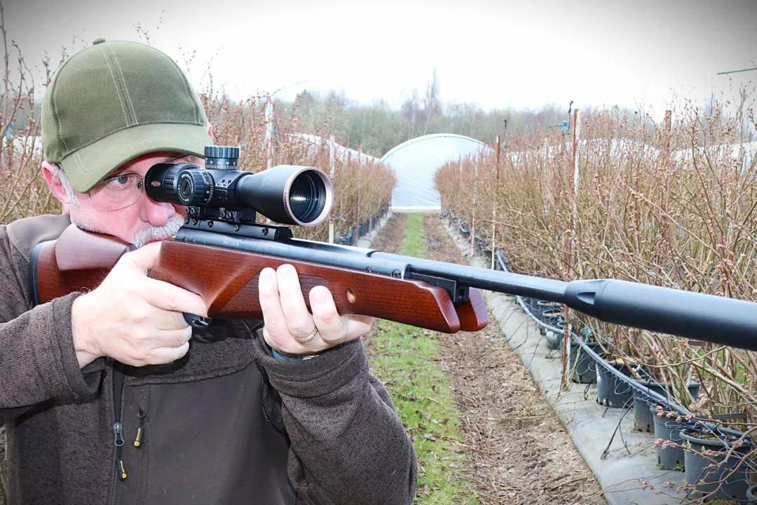 头部中弹！近日安徽18岁男孩深夜遭遇枪击，枪是从哪来的？