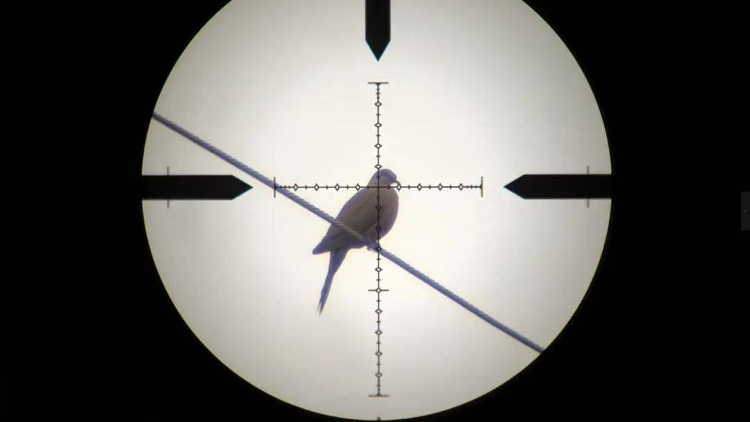 头部中弹！近日安徽18岁男孩深夜遭遇枪击，枪是从哪来的？