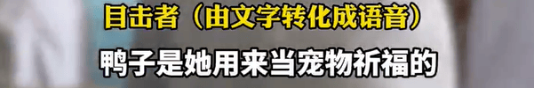 养了四年的宠物鸭被汽车碾死，老太太当街包鸭痛哭，目击者：她老伴重病，鸭子是用来祈福的