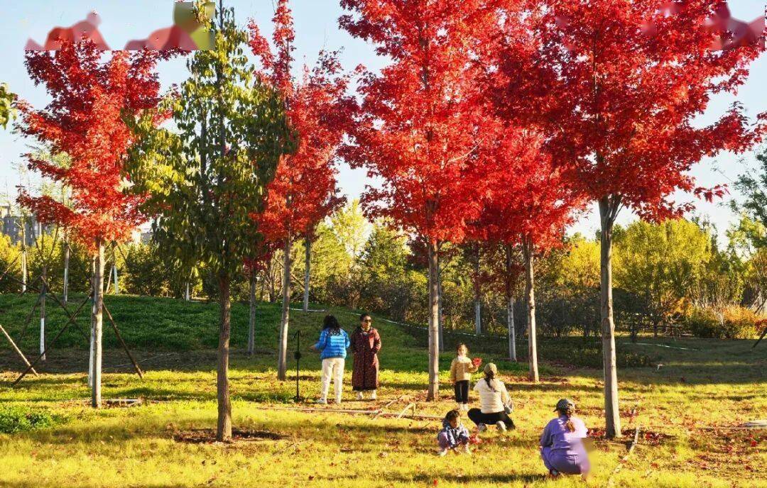 北京新添一个超美大公园！占地超300亩
